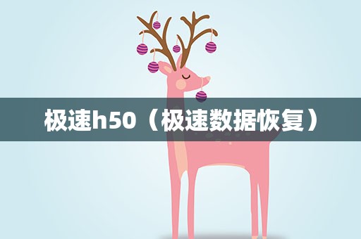 极速h50（极速数据恢复）