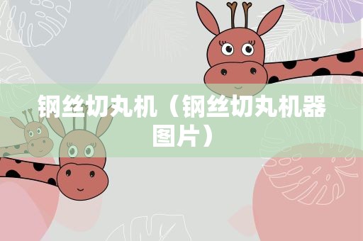 钢丝切丸机（钢丝切丸机器图片）