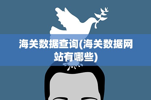 海关数据查询(海关数据网站有哪些)