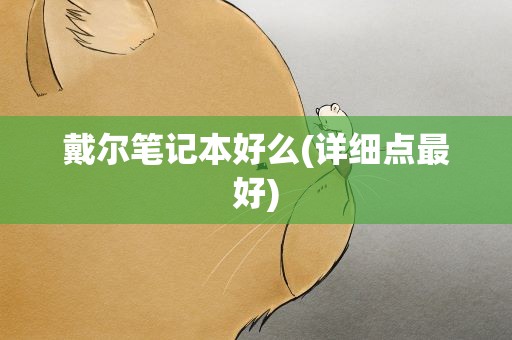 戴尔笔记本好么(详细点最好)
