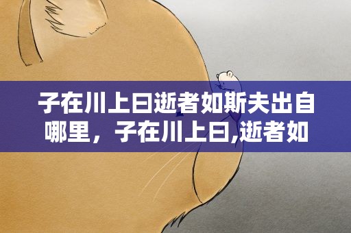 子在川上曰逝者如斯夫出自哪里，子在川上曰,逝者如斯夫出处