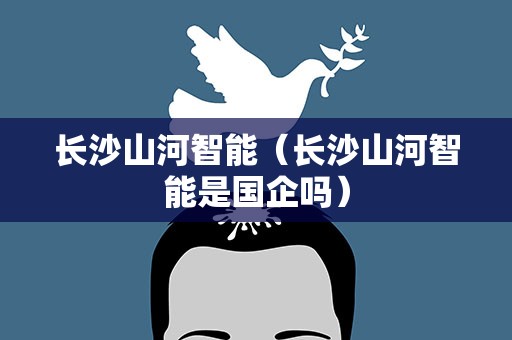 长沙山河智能（长沙山河智能是国企吗）