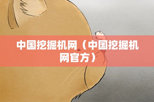中国挖掘机网（中国挖掘机网官方）
