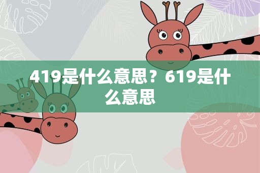 419是什么意思？619是什么意思