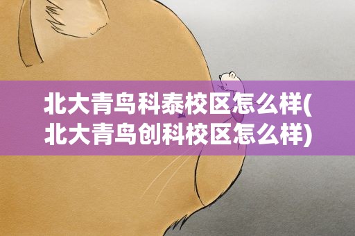 北大青鸟科泰校区怎么样(北大青鸟创科校区怎么样)