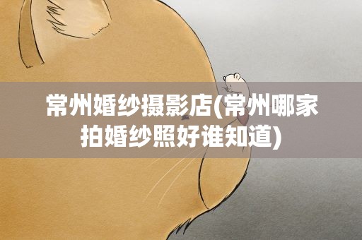 常州婚纱摄影店(常州哪家拍婚纱照好谁知道)