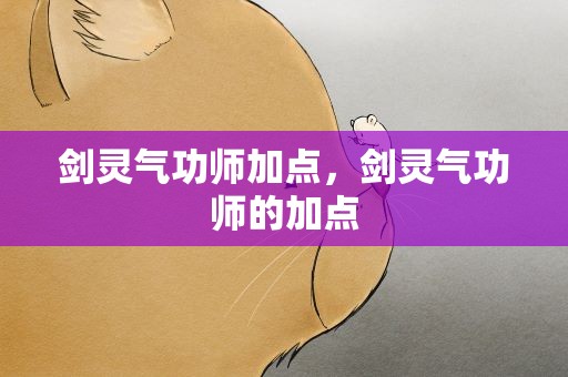 剑灵气功师加点，剑灵气功师的加点