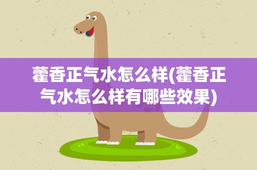 藿香正气水怎么样(藿香正气水怎么样有哪些效果)