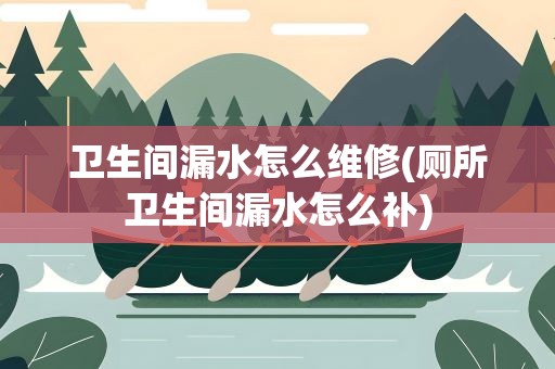 卫生间漏水怎么维修(厕所卫生间漏水怎么补)