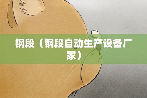 钢段（钢段自动生产设备厂家）