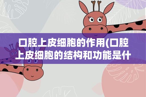 口腔上皮细胞的作用(口腔上皮细胞的结构和功能是什么)