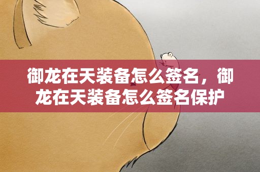 御龙在天装备怎么签名，御龙在天装备怎么签名保护