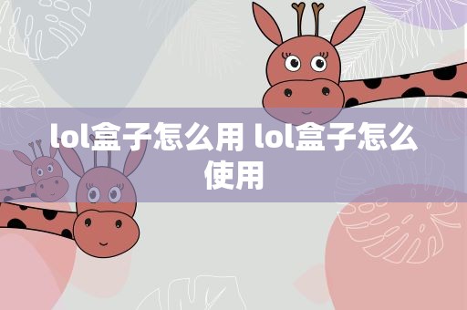 lol盒子怎么用 lol盒子怎么使用
