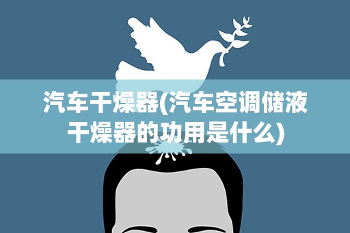 汽车干燥器(汽车空调储液干燥器的功用是什么)