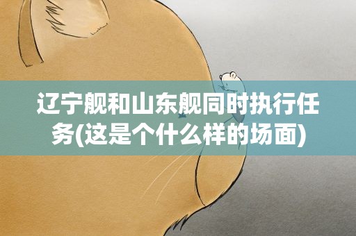 辽宁舰和山东舰同时执行任务(这是个什么样的场面)