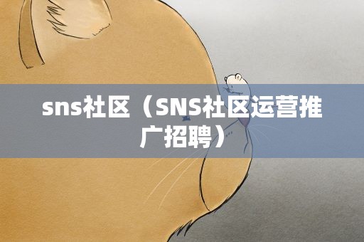 sns社区（SNS社区运营推广招聘）