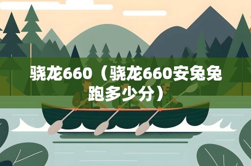 骁龙660（骁龙660安兔兔跑多少分）