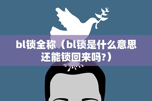 bl锁全称（bl锁是什么意思还能锁回来吗?）