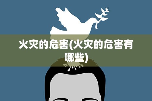 火灾的危害(火灾的危害有哪些)