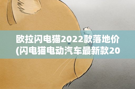 欧拉闪电猫2022款落地价(闪电猫电动汽车最新款2022款还会降价吗)
