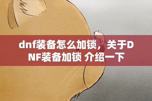 dnf装备怎么加锁，关于DNF装备加锁 介绍一下