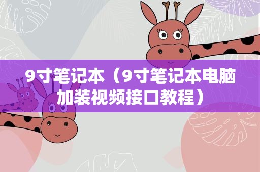 9寸笔记本（9寸笔记本电脑加装视频接口教程）