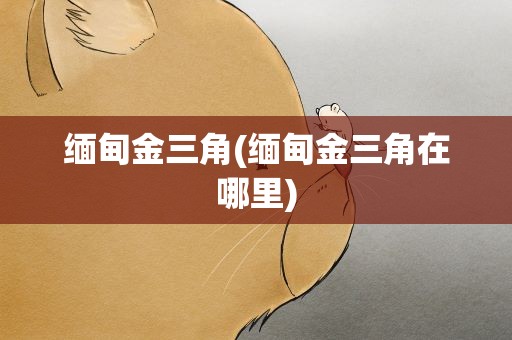缅甸金三角(缅甸金三角在哪里)