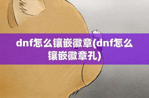 dnf怎么镶嵌徽章(dnf怎么镶嵌徽章孔)