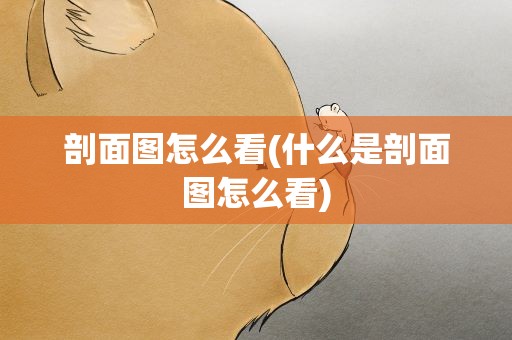 剖面图怎么看(什么是剖面图怎么看)