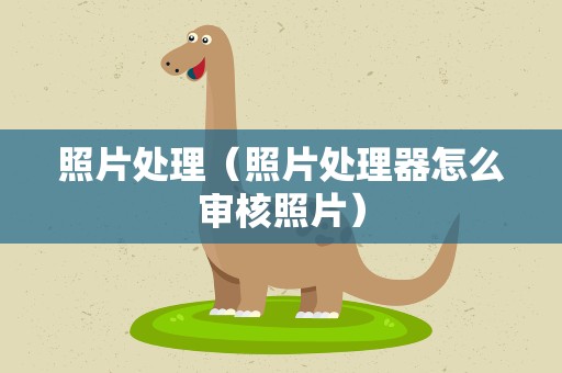 照片处理（照片处理器怎么审核照片）