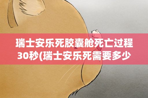 瑞士安乐死胶囊舱死亡过程30秒(瑞士安乐死需要多少人民币)