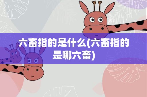 六畜指的是什么(六畜指的是哪六畜)
