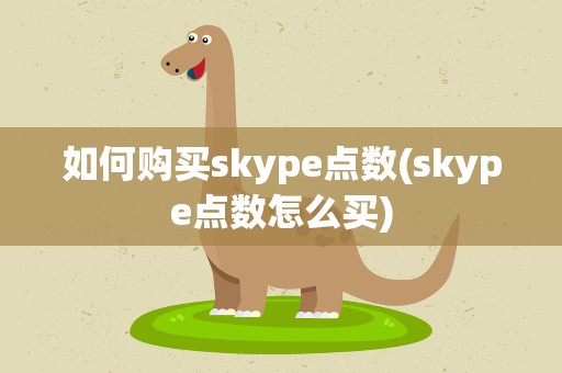 如何购买skype点数(skype点数怎么买)