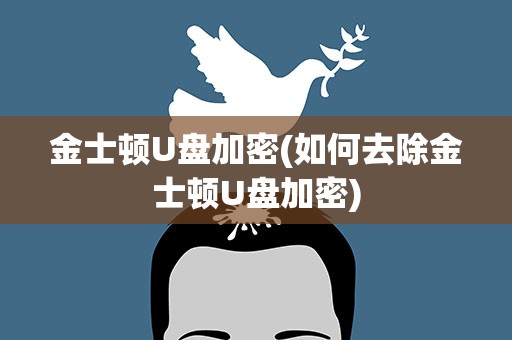 金士顿U盘加密(如何去除金士顿U盘加密)