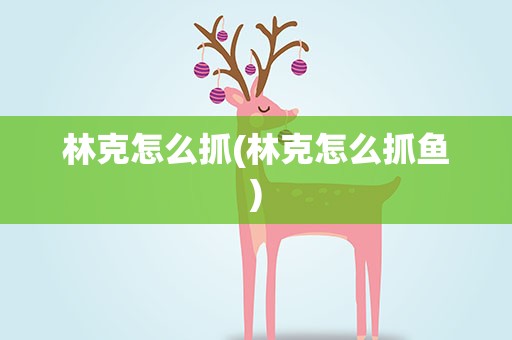 林克怎么抓(林克怎么抓鱼)