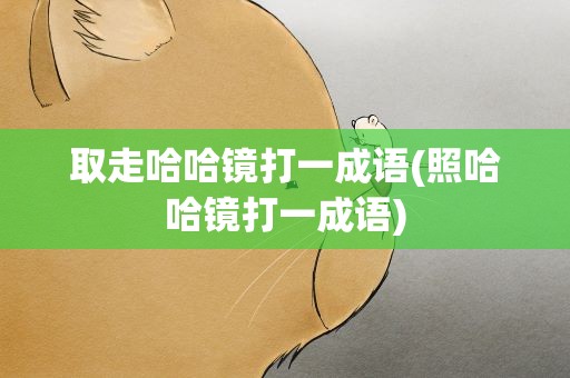 取走哈哈镜打一成语(照哈哈镜打一成语)