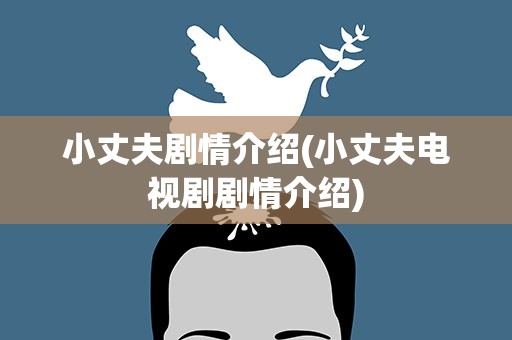 小丈夫剧情介绍(小丈夫电视剧剧情介绍)