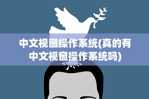 中文视窗操作系统(真的有中文视窗操作系统吗)
