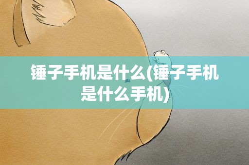 锤子手机是什么(锤子手机是什么手机)