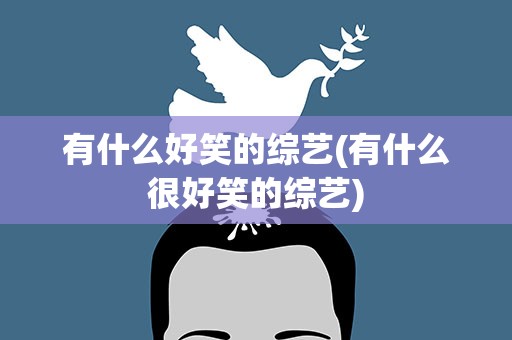 有什么好笑的综艺(有什么很好笑的综艺)