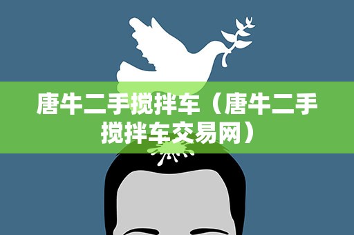 唐牛二手搅拌车（唐牛二手搅拌车交易网）