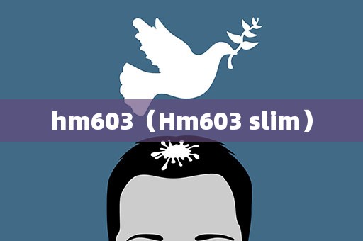hm603（Hm603 slim）