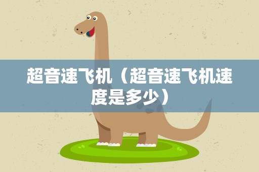 超音速飞机（超音速飞机速度是多少）