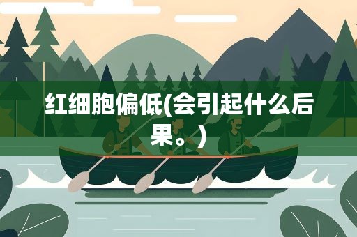 红细胞偏低(会引起什么后果。)