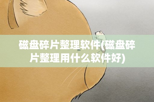磁盘碎片整理软件(磁盘碎片整理用什么软件好)
