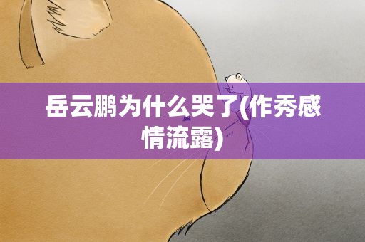 岳云鹏为什么哭了(作秀感情流露)