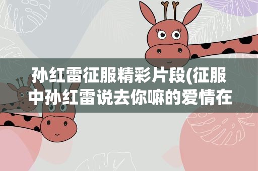 孙红雷征服精彩片段(征服中孙红雷说去你嘛的爱情在第几集)
