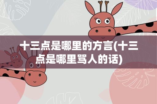 十三点是哪里的方言(十三点是哪里骂人的话)