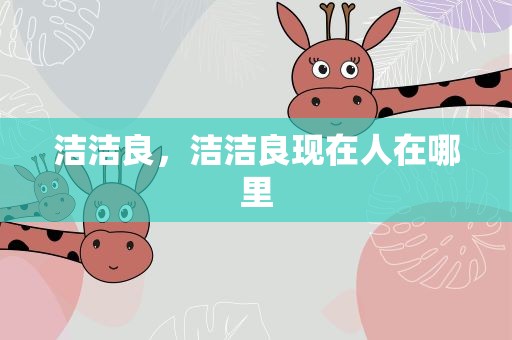 洁洁良，洁洁良现在人在哪里