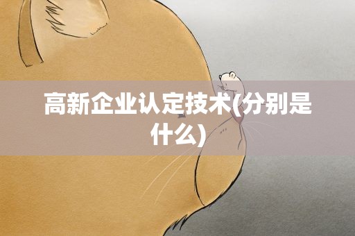 高新企业认定技术(分别是什么)